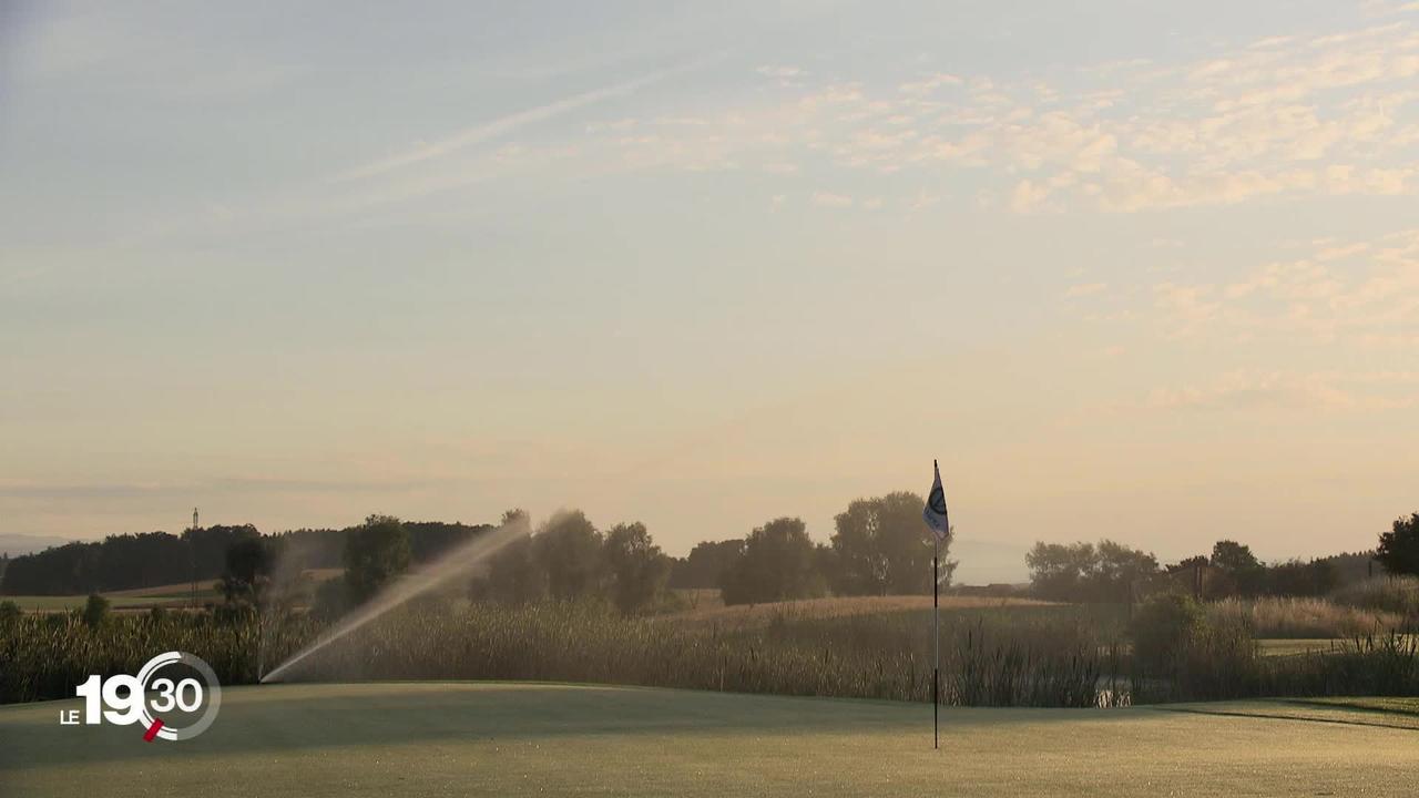 Les golfs cherchent à réduire leur consommation d’eau, accrue en période de sécheresse