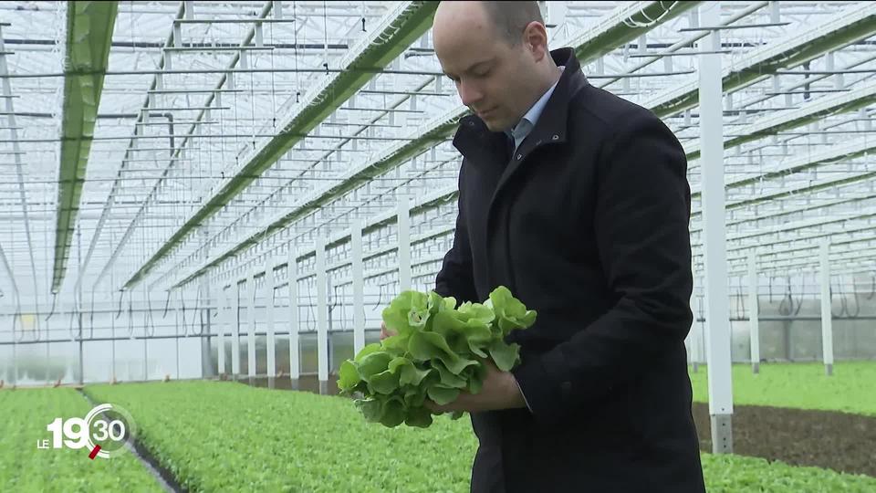 A Berne, le parlement renforce les protections douanières pour favoriser les légumes suisses