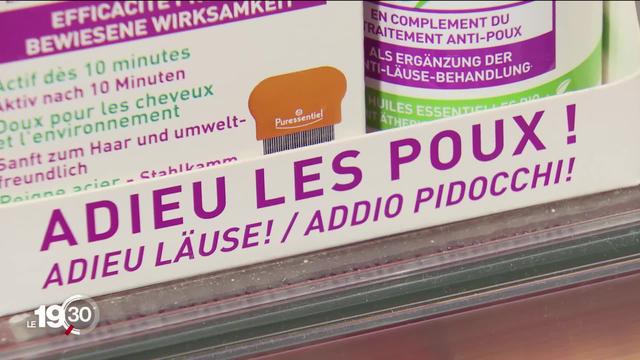 Les traitements anti-poux sont en rupture de stock dans de nombreuses pharmacies