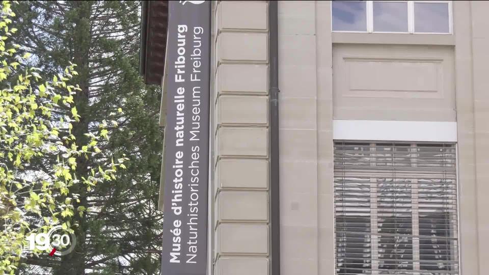 Le 18 juin prochain, les Fribourgeois devront se prononcer sur l'avenir du musée d'histoire naturelle. Un tout nouveau musée est proposé à la population.