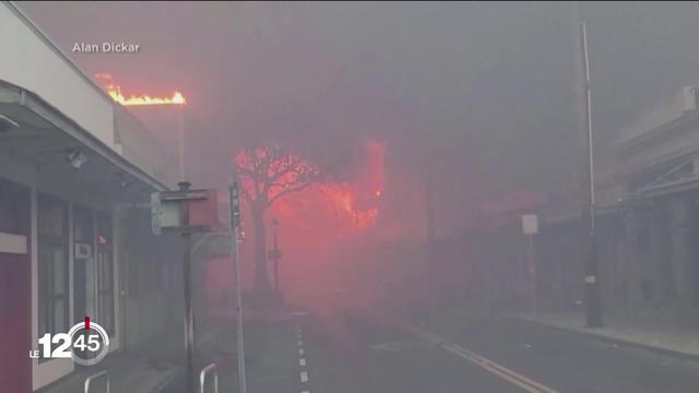 A Hawaï, de puissants incendies poussent les habitants à se jeter dans la mer