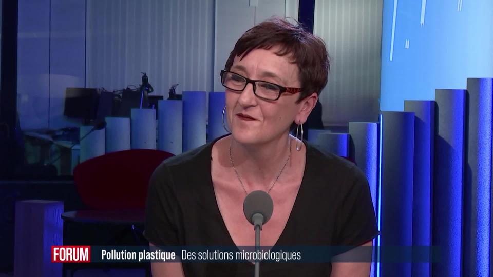 Des solutions microbiologiques pour lutter contre la pollution plastique: interview de Katia Gindro