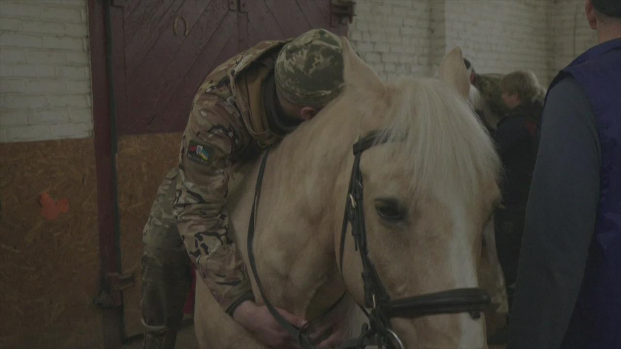 Des soldats ukrainiens soignent leurs traumatismes avec des chevaux