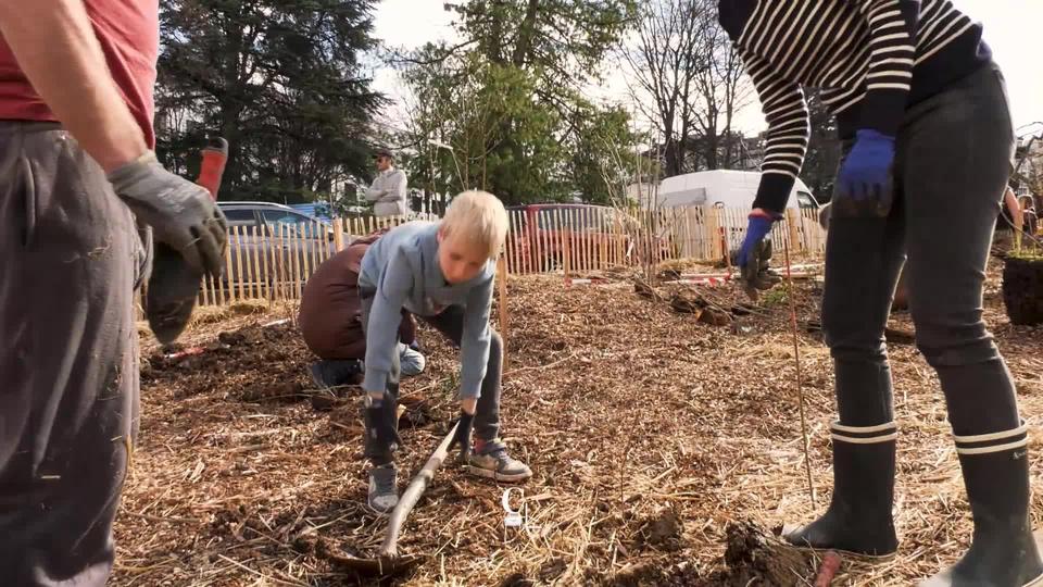 La Ville de Genève remplace des parkings par des micro-forêts, pour lutter contre les îlots de chaleur.