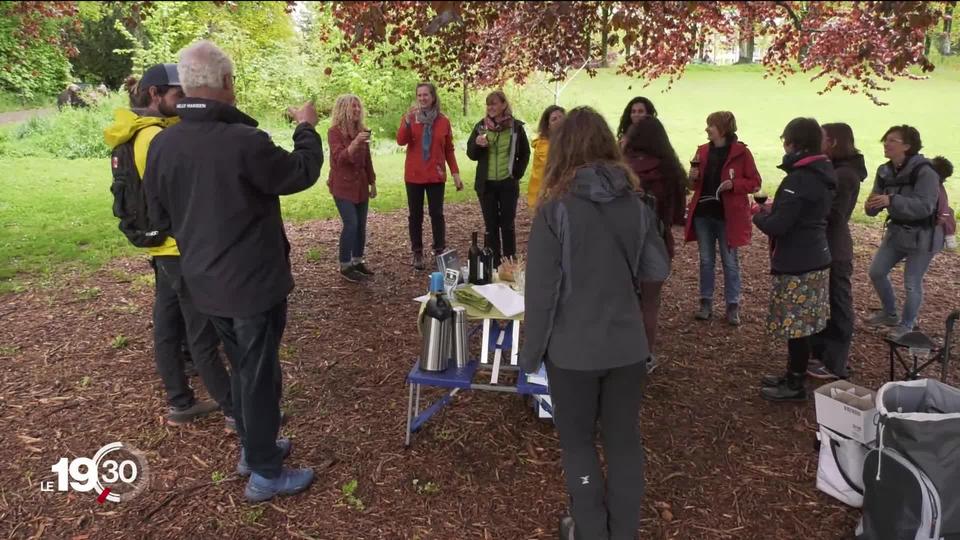 Une fois par mois les "arbr’apéros" invitent la population lausannoise à découvrir un arbre vénérable de la ville