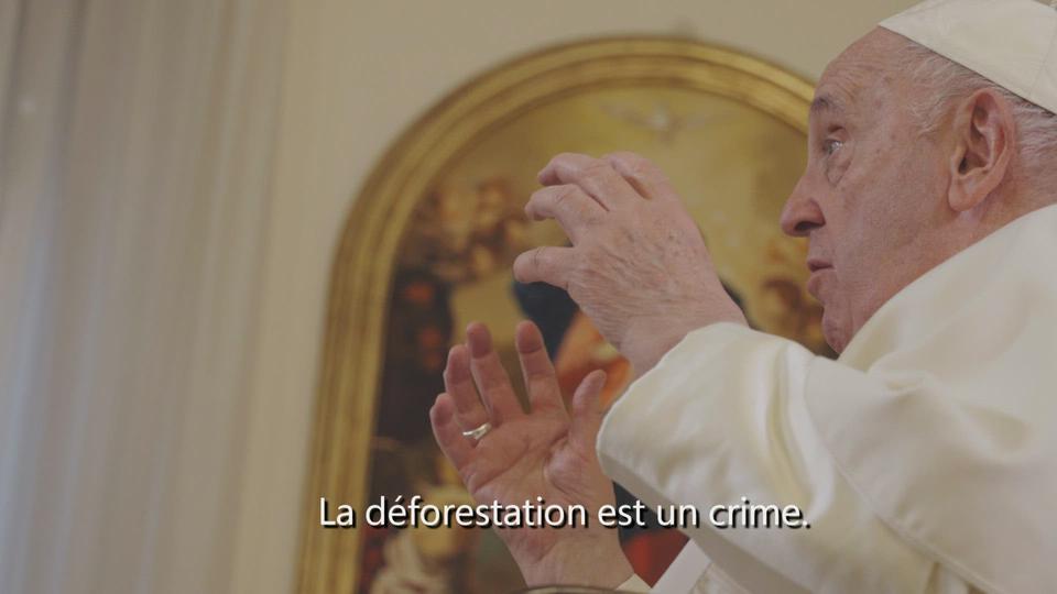 "La déforestation est un crime", dénonce le pape François