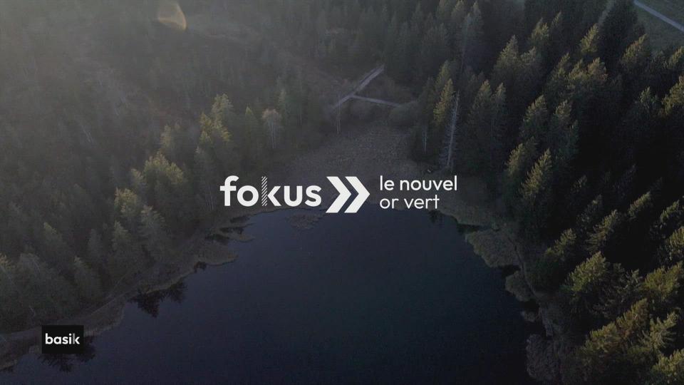 fokus :  le nouvel or vert