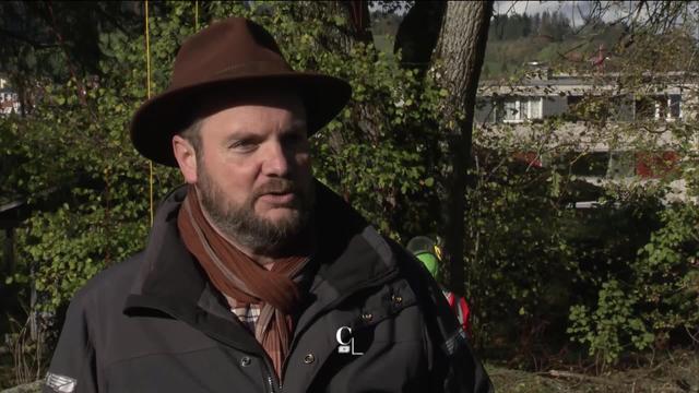 Edgar Ramel, architecte paysagiste à La Chaux-de-Fonds (NE), évoque le remplacement des arbres balayés par la tempête du 24 juillet 2023