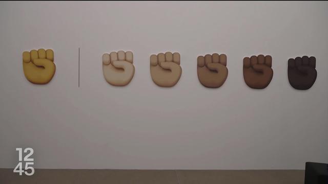 Une exposition au Musée des Beaux-Arts d’Aarau décortique le racisme