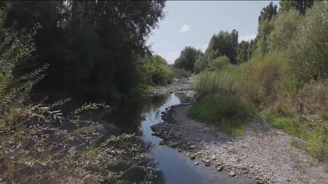 Libérer nos rivières