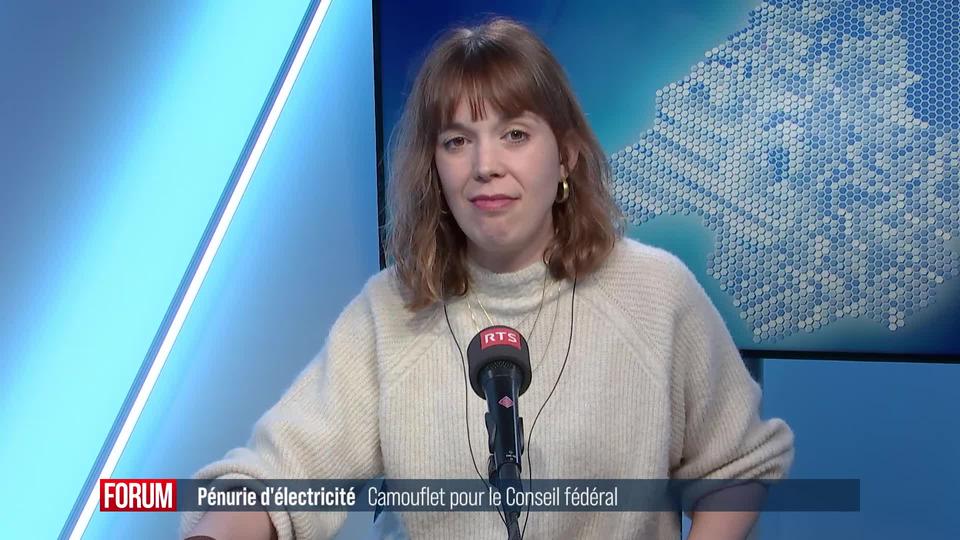 Le Conseil fédéral n’aurait pas dû autoriser la centrale électrique de Birr selon le Tribunal administratif fédéral