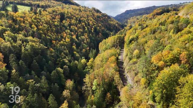 L’échappée : balade automnale à travers la Combe Tabeillon dans le canton du Jura