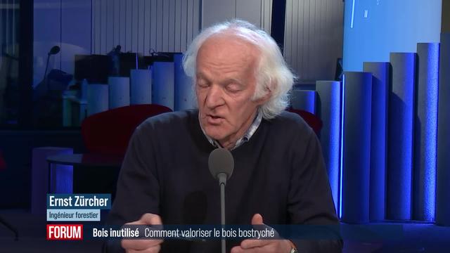 Comment mieux utiliser le bois attaqué par les bostryches? Interview d’Ernst Zürcher (vidéo)