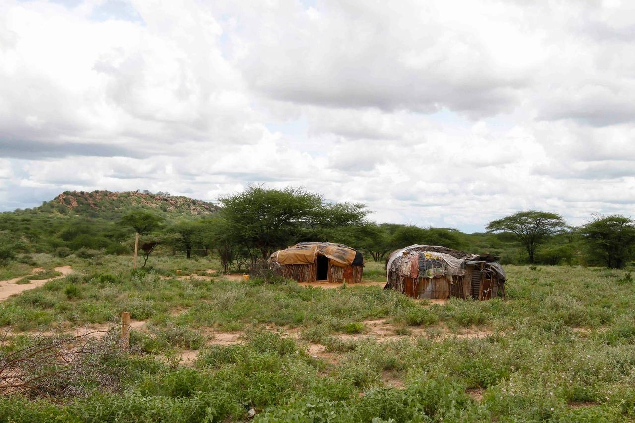 Une coexistence généralement pacifique: un campement dans un corridor à éléphants au nord du mont Kenya. [Swissinfo - Valerie Thurner]