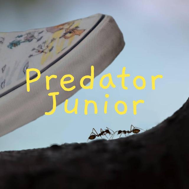 Predator Junior [Garance Parvis]