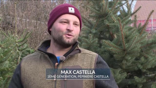 Entretien avec Max Castella, 2ème génération de la pépinière Castella