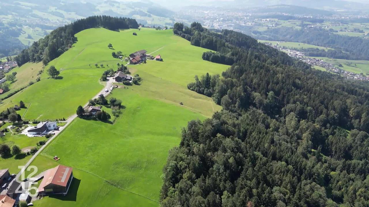 Contaminés par des polluants PFAS, du lait et de la viande ont été retirés de la vente à St-Gall, près du lac de Constance