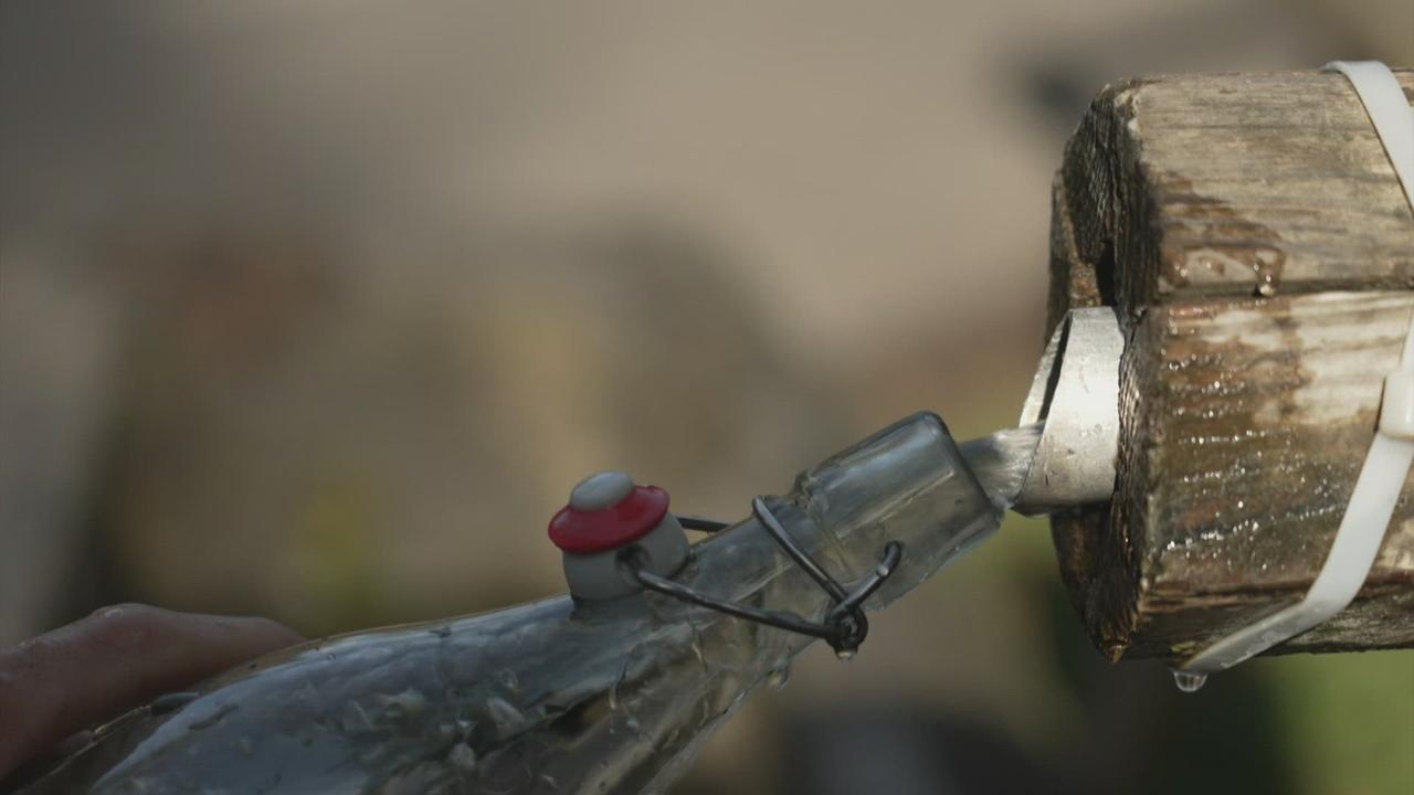 Trop de pesticides dans l'eau