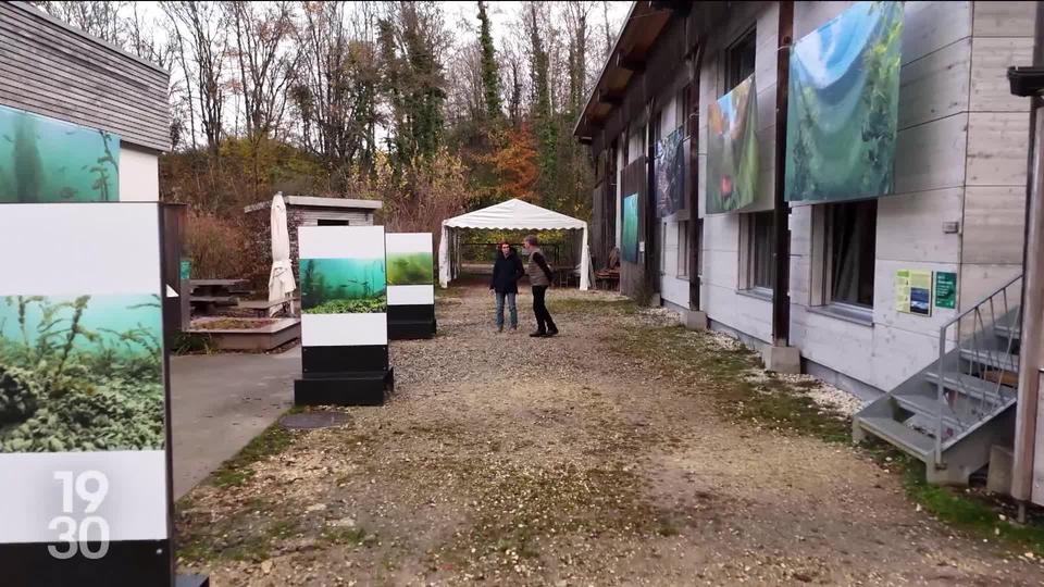 La face cachée du Léman révélée dans une exposition de photos à la Maison de la Rivière