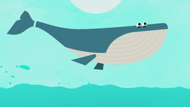 La Baleine et plancton : Crottes à la rescousse