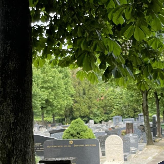 Mikhaël Benadmon, rabbin de la communauté juive de Genève [RTSreligion - Carole Pirker]