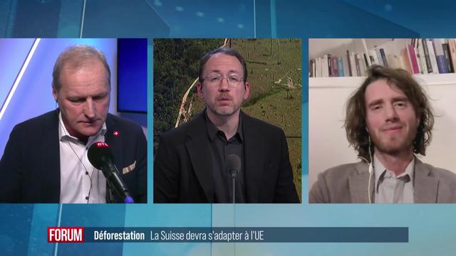 Une réglementation européenne sur la déforestation sera appliquée en Suisse: débat entre Romain Deveze et Pierre-André Page (vidéo)