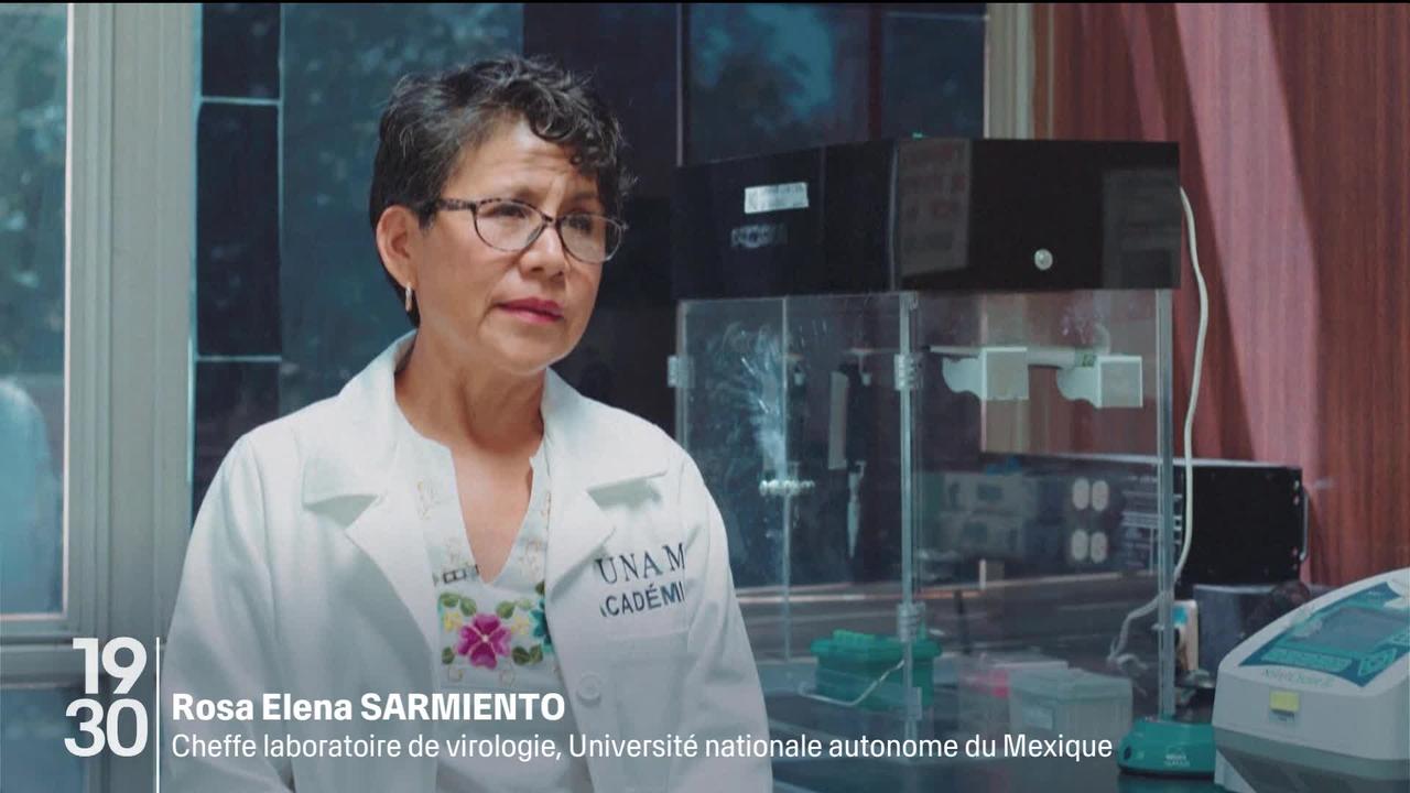 Au Mexique, on traque les virus susceptibles de déclencher de nouvelles pandémie