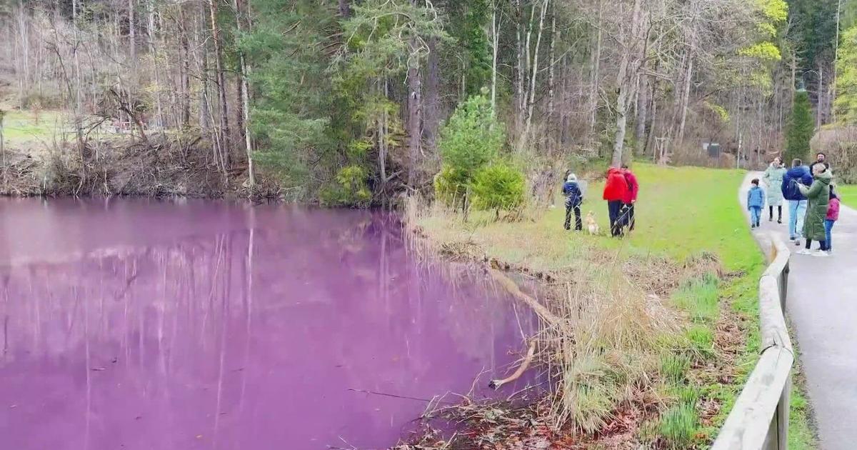 The Pink Lake in the Bavarian Alps: A Natural Phenomenon