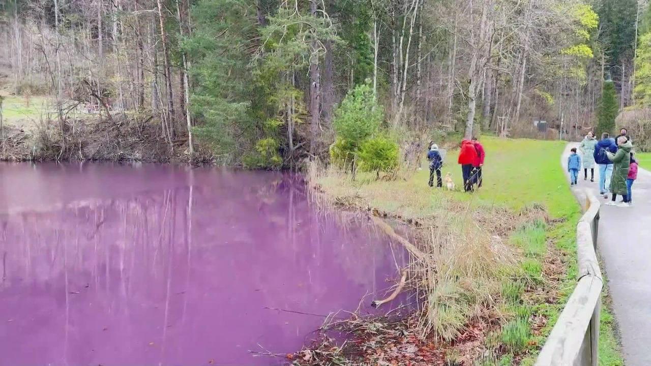 L'eau d'un lac bavarois tourne au rose