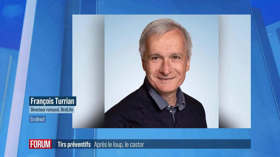 Projet de tirs préventifs contre les castors en Suisse: interview de François Turrian