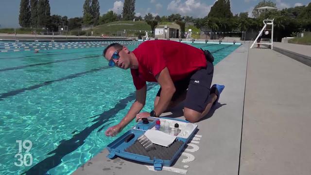 Selon une étude récente, près d'une piscine publique sur deux peine à respecter certaines normes en matière de qualité de l'eau