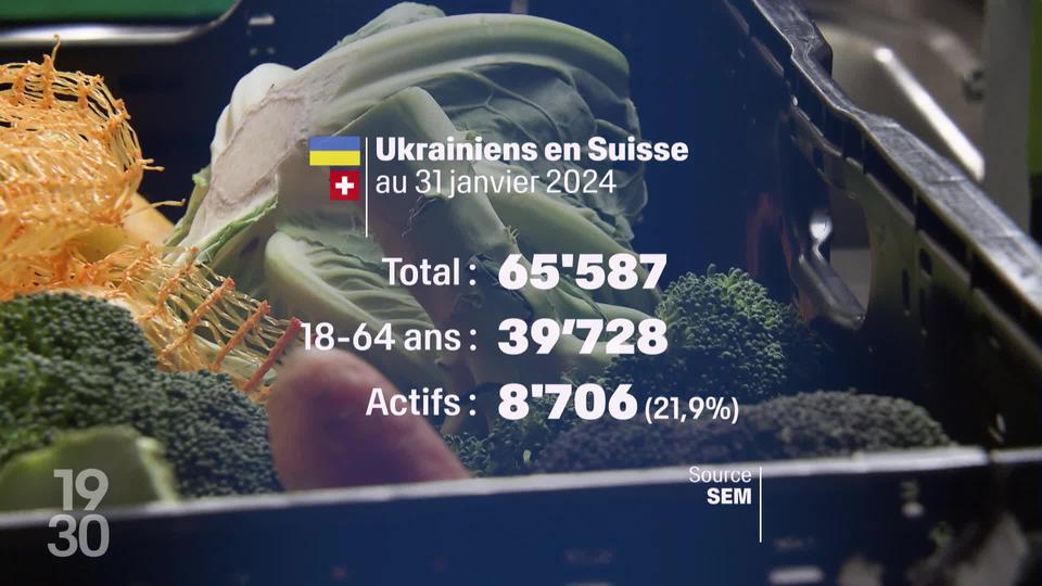 Un réfugié ukrainien sur cinq a réussi à décrocher un emploi en Suisse