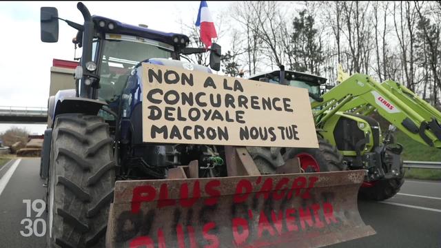 La colère des agriculteurs en France. Apres l'Allemagne, les Pays-bas ou la Pologne, le mouvement gagne toute l'Europe.