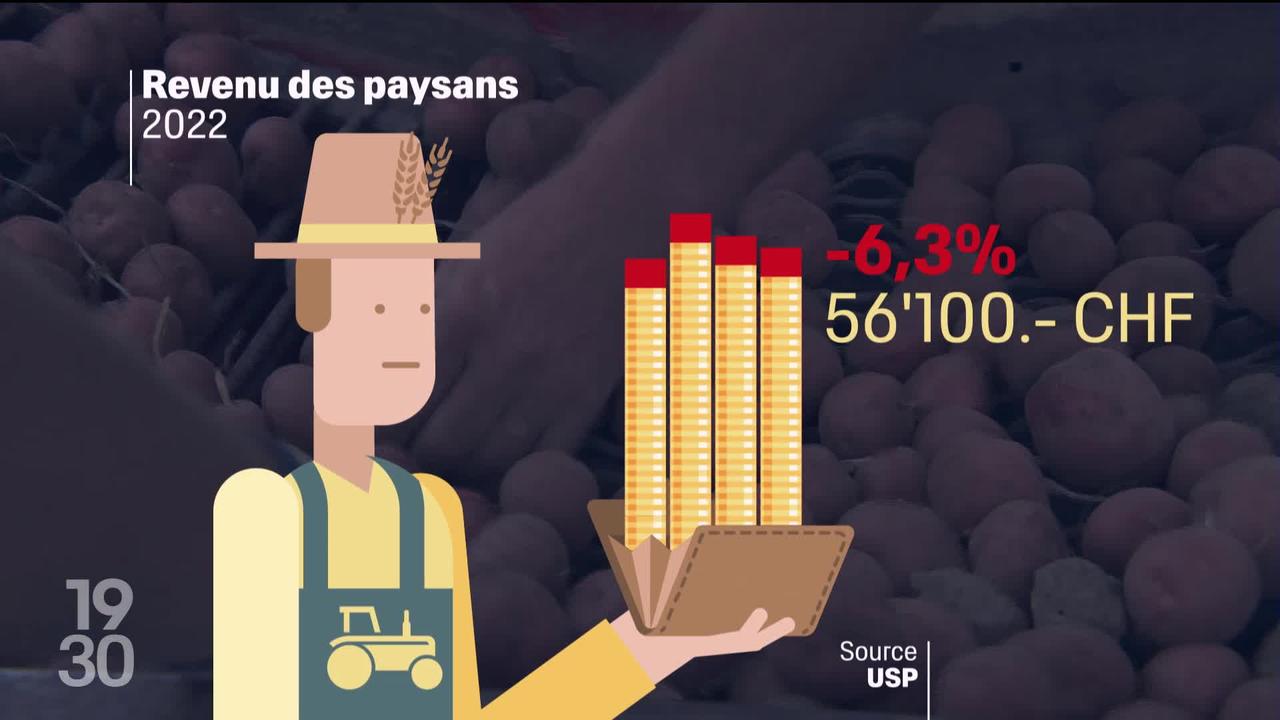Face à la baisse de leurs revenus en période d'inflation, les paysans suisses exigent que leur production soit mieux rémunérée