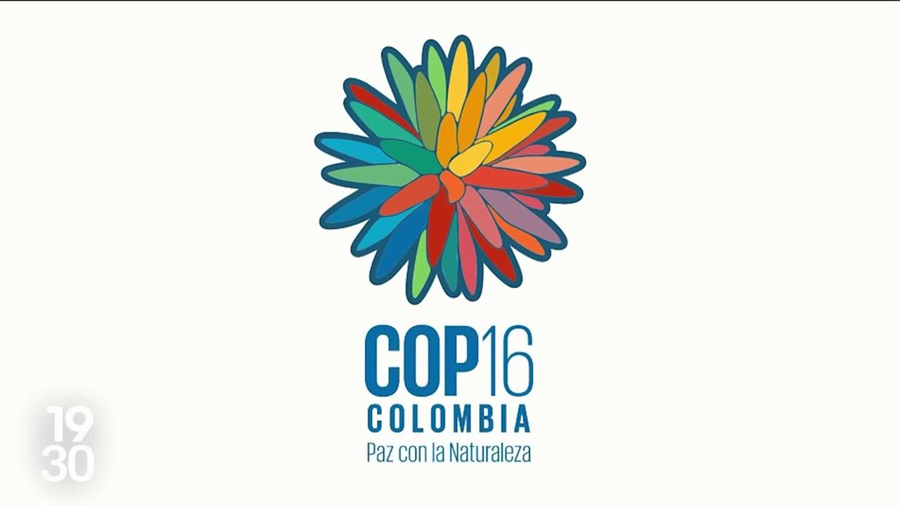 Ouverture de la COP16 à Cali, en Colombie, avec la volonté d’allouer des moyens importants pour préserver la biodiversité