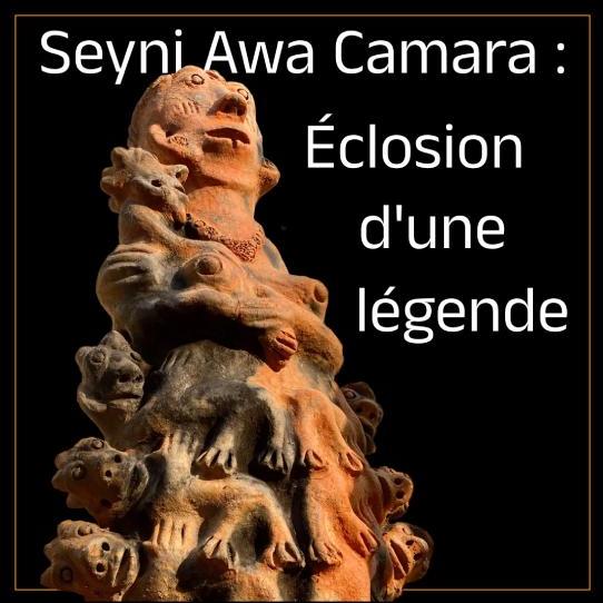 Seyni Awa Camara, éclosion d'une légende [Francesco Biamonte]