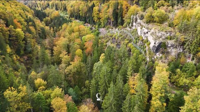 Balade automnale à travers la Combe Tabeillon dans le canton du Jura. Un itinéraire magnifique qui mène aux portes des Franches-Montagnes