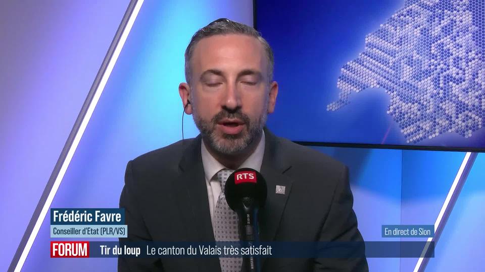 Le canton du Valais satisfait d’avoir abattu 27 loups sur 50 en Suisse: interview de Frédéric Favre (vidéo)