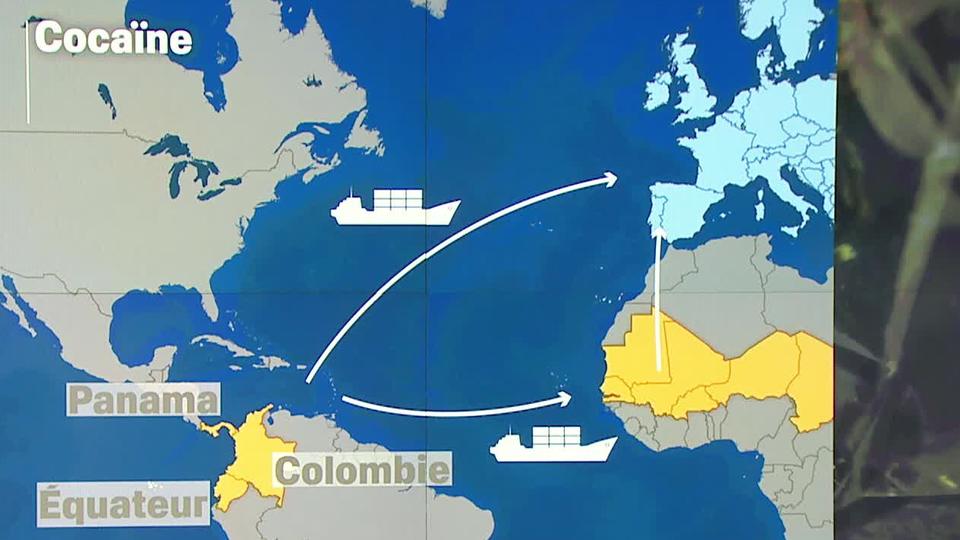 Le trafic de cocaïne et des drogues de synthèse est en constante augmentation. Stephen Mossaz détaille les flux d'acheminement