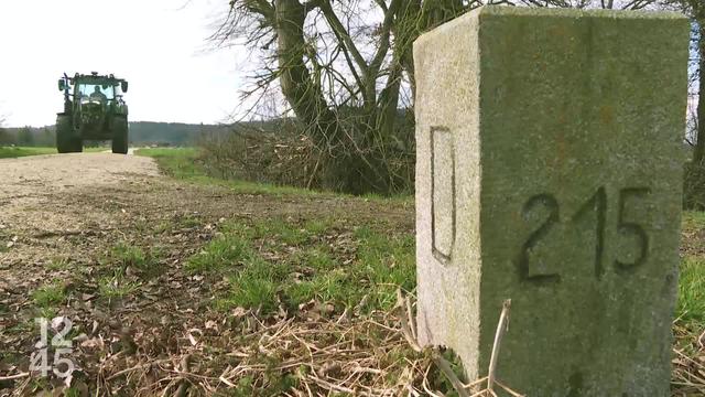 Les paysans alémaniques sont toujours plus nombreux à acheter ou louer des terres agricoles en Allemagne