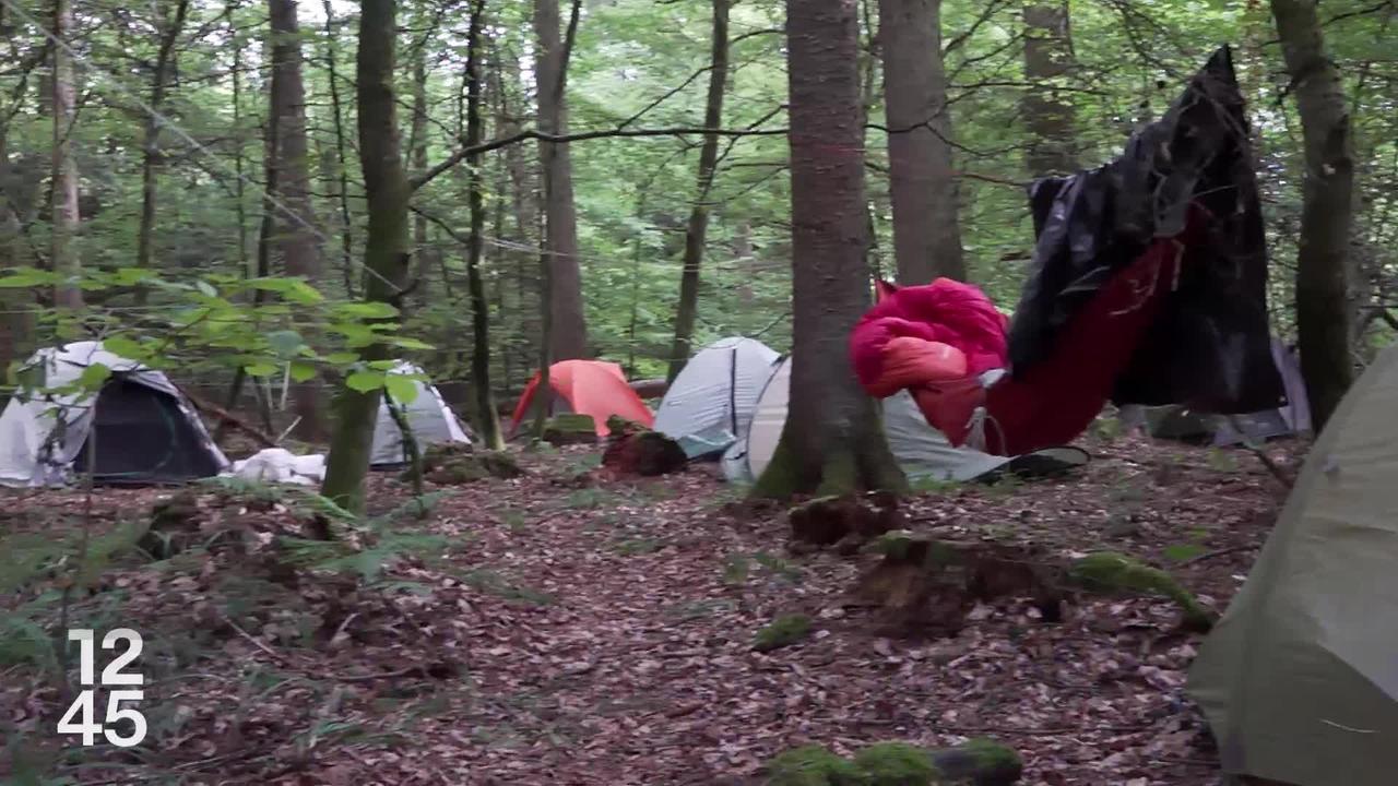 Des activistes climatiques occupent depuis ce week-end le Bois de Ballens, dans le canton de Vaud
