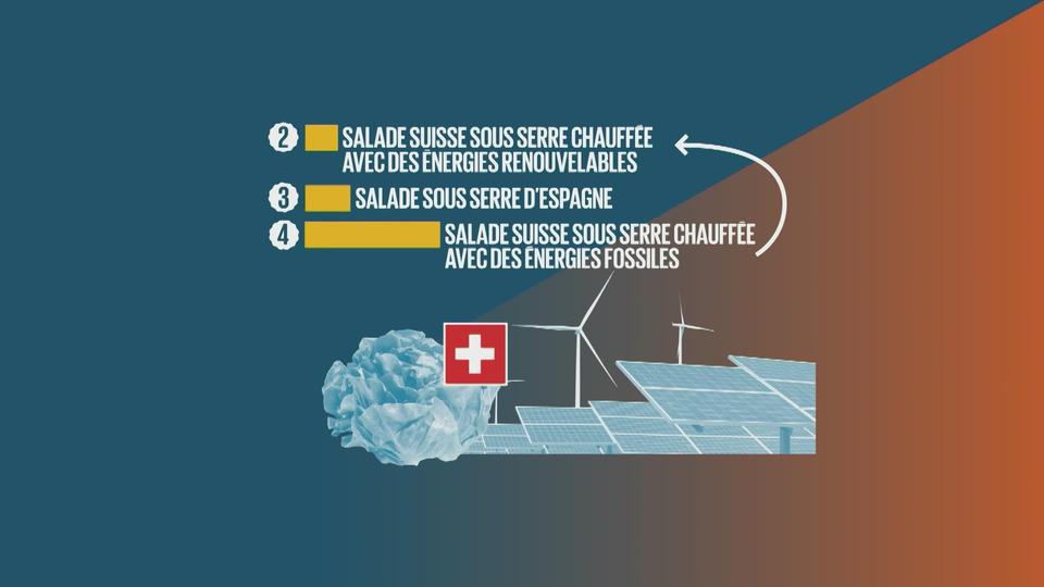 L’impact environnemental des salades