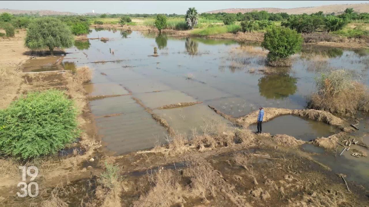 Les pluies diluviennes ont provoqué des inondations et des dégâts majeurs au Sénégal