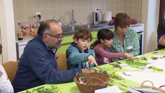 Le jardin botanique de Genève propose des initiations à la botanique pour les enfants