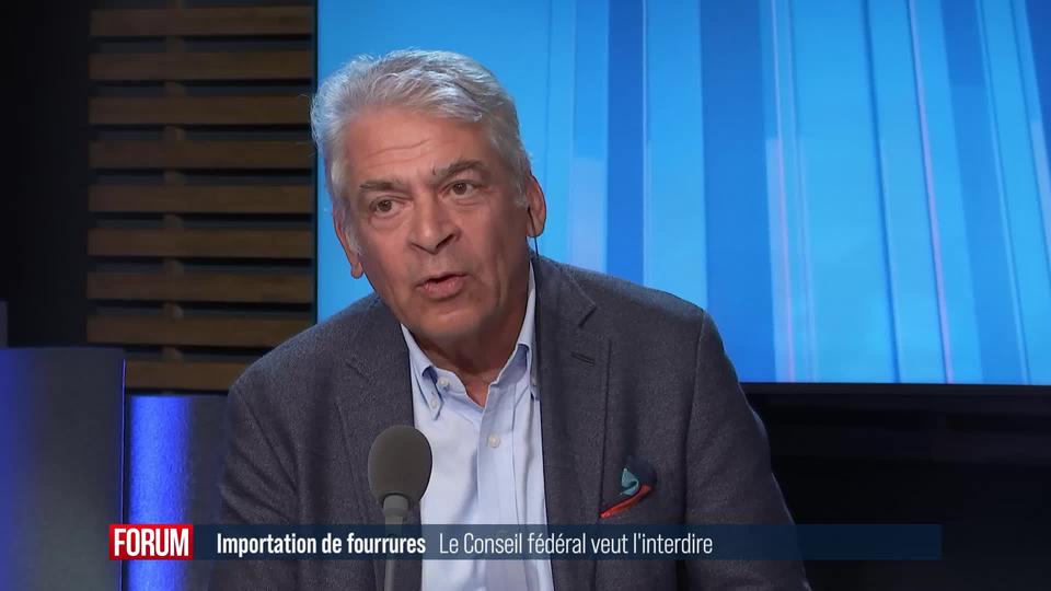 Le Conseil fédéral propose d'interdire l'importation de fourrures d'animaux maltraités: interview d’Ivan Benjamin