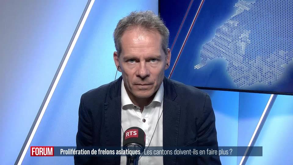 Les cantons en font-ils assez pour lutter contre les frelons asiatiques? Interview de David Eray