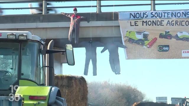 Dans plusieurs pays européens, les agriculteurs revendiquent des actions pour se faire entendre