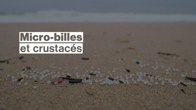 Les plages du nord-ouest de l'Espagne infestées de micro-billes de plastique