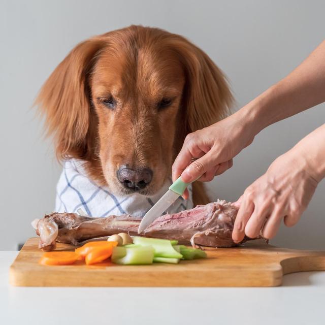 Alimentation des animaux domestiques. [Depositphotos - Chendongshan]