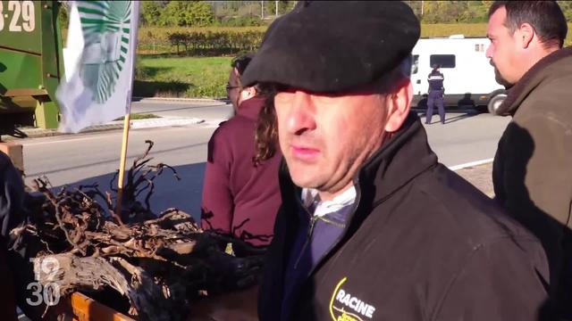 Les agriculteurs français se sont à nouveau mobilisés lundi. Des manifestations qui s’étendent à d’autres secteurs